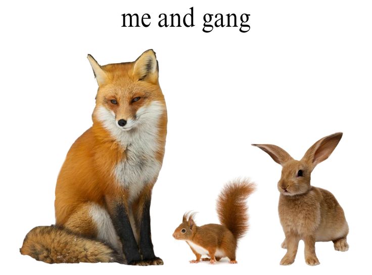 Tunisian Psycho tweet media