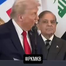 Dilpreet Grewal ☬ tweet media