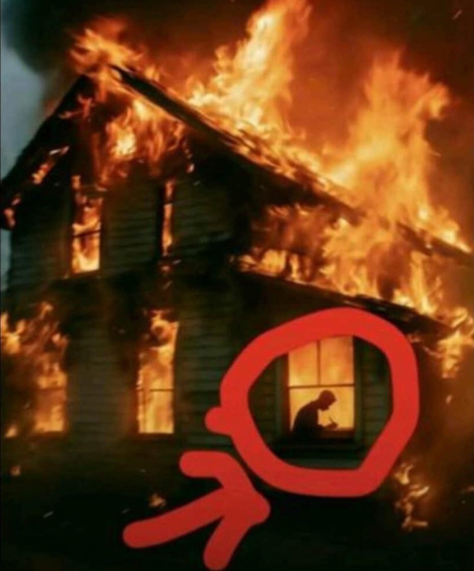 XSET Muz tweet media