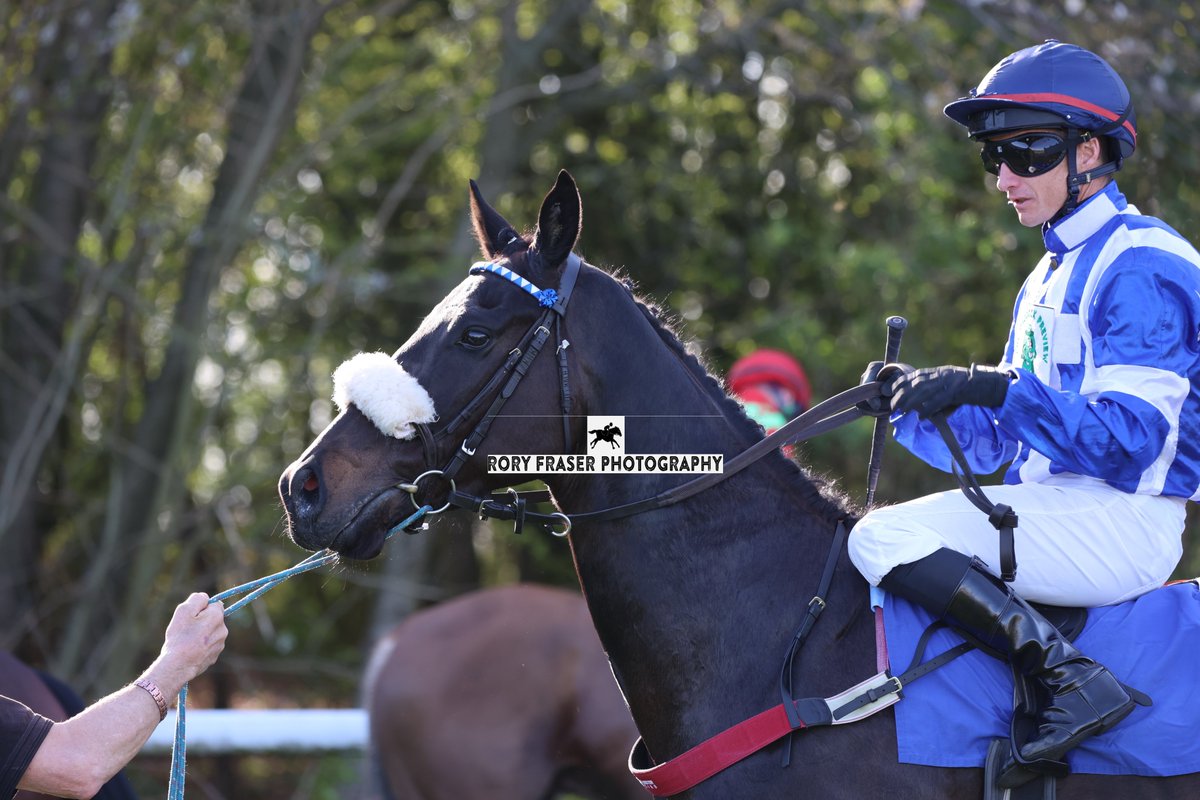 Winner of race seven at Pontefract this afternoon, the class six 3-y-o handicap (6f), MAYNORA (Mayson x Azenora)
Trained by <a href="/C_LidsterRacing/">Craig Lidster Racing</a>, owned by Craig Lidster Racing Syndicates and ridden by <a href="/dallan555/">david allan</a>.
Winning for the first time at the eleventh attempt.