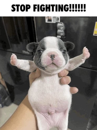 Captain Steak Burger tweet media