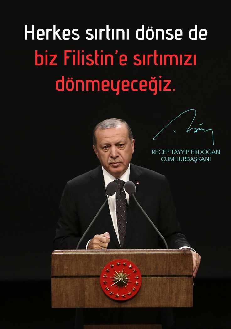 i.dönmez tweet media