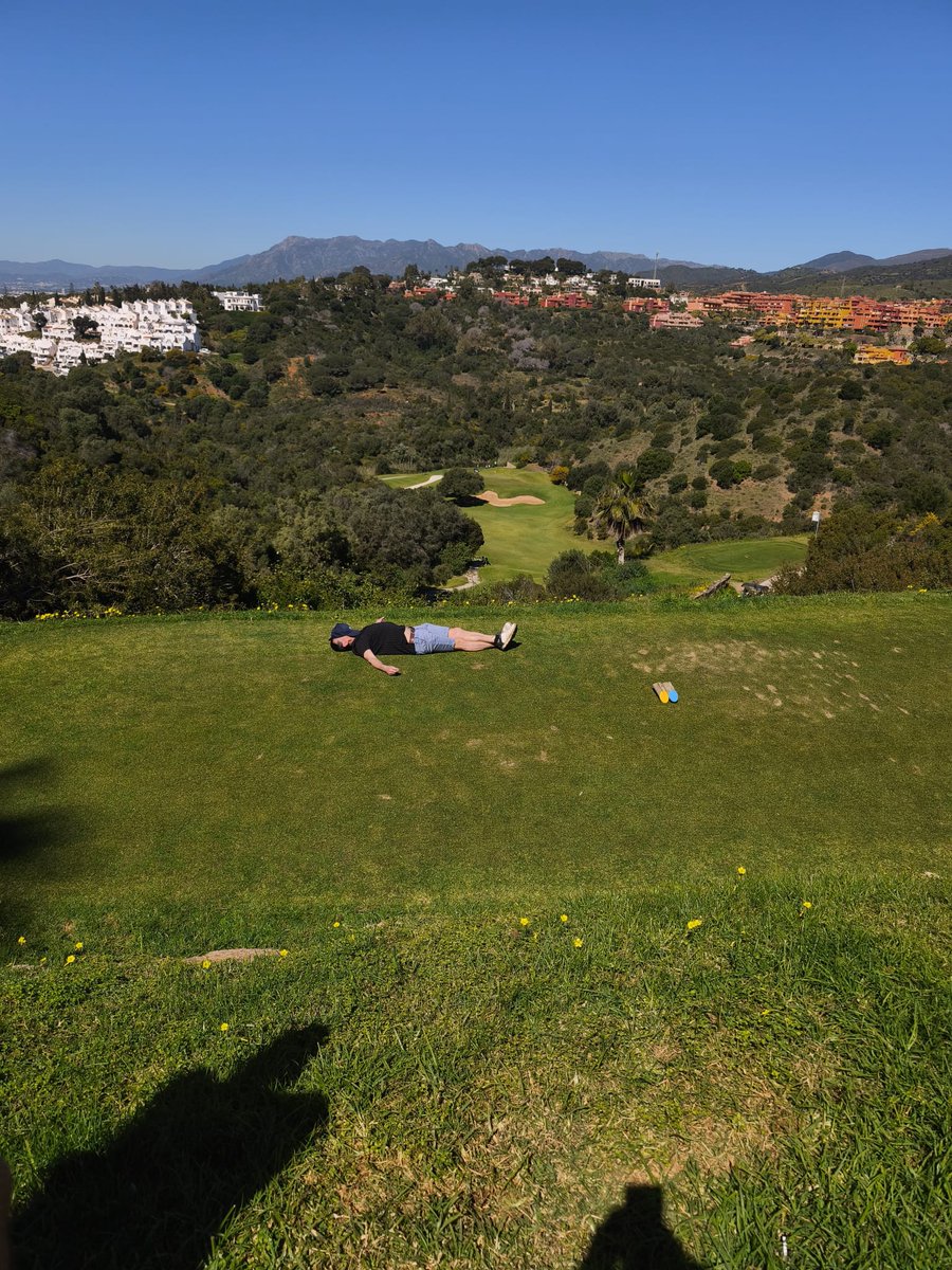 Niall Mc Laughlin tweet media