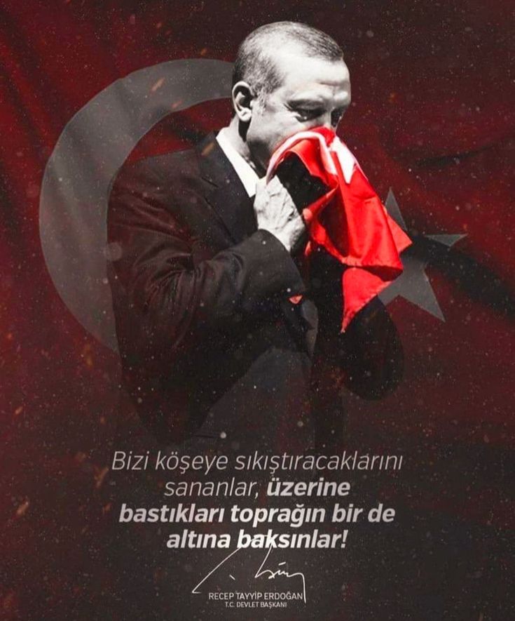 i.dönmez tweet media