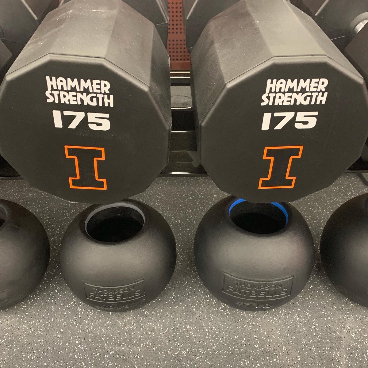Blair_Prince's tweet image. #ToolsOfTheTrade @HammerStrength @AdvExercise #PerformanceIsReality