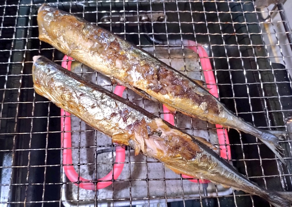 少し天坊氏 tweet media