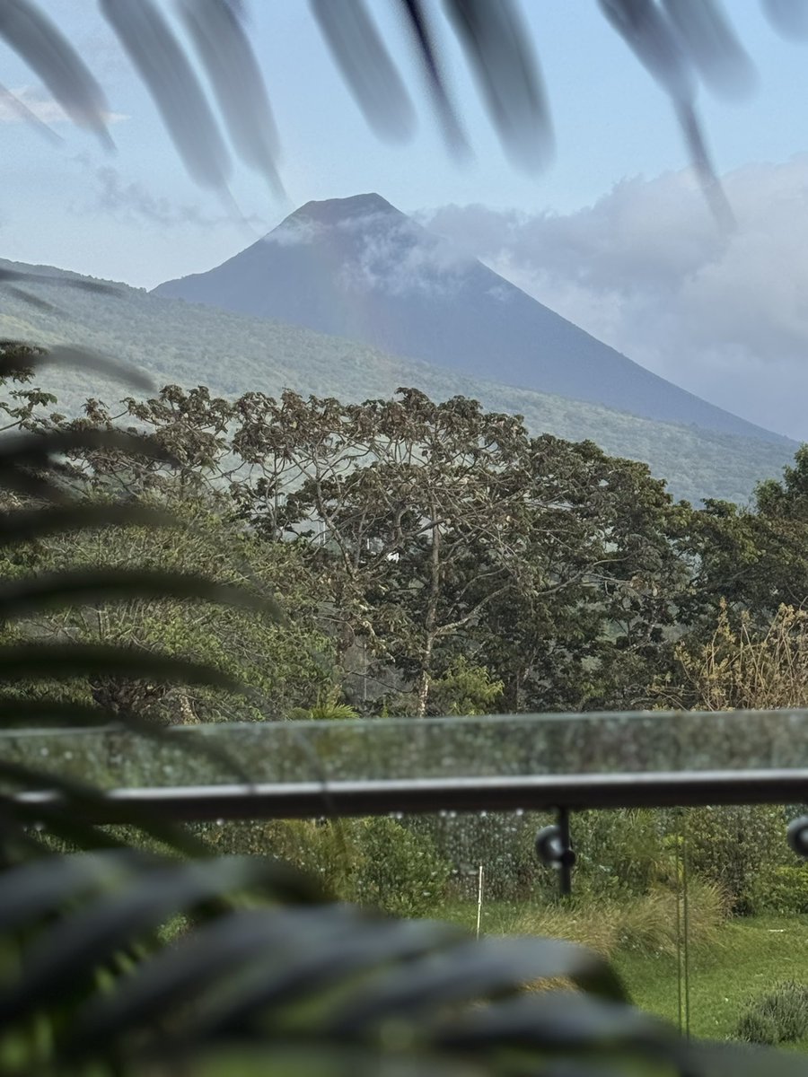 MURPHSLIFE tweet media