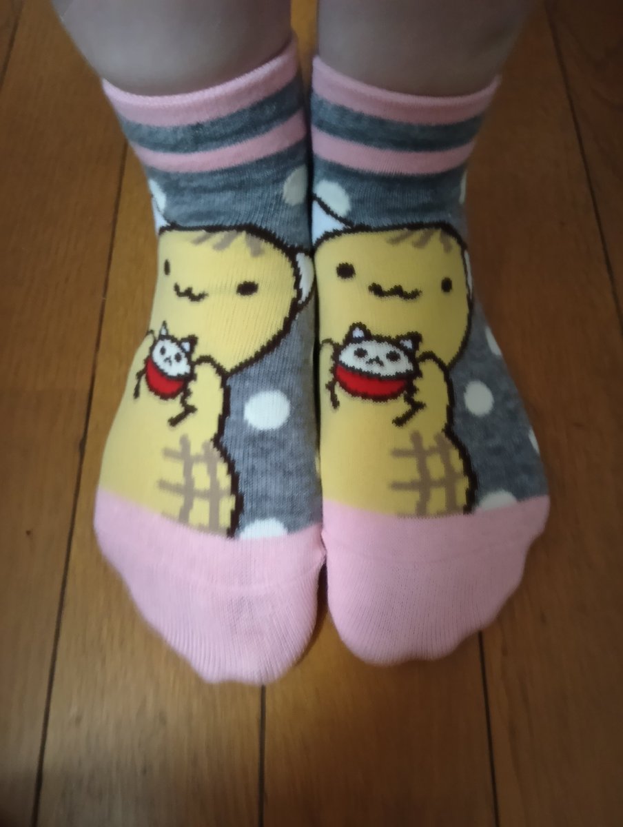 アリスちゃん🐰 tweet media