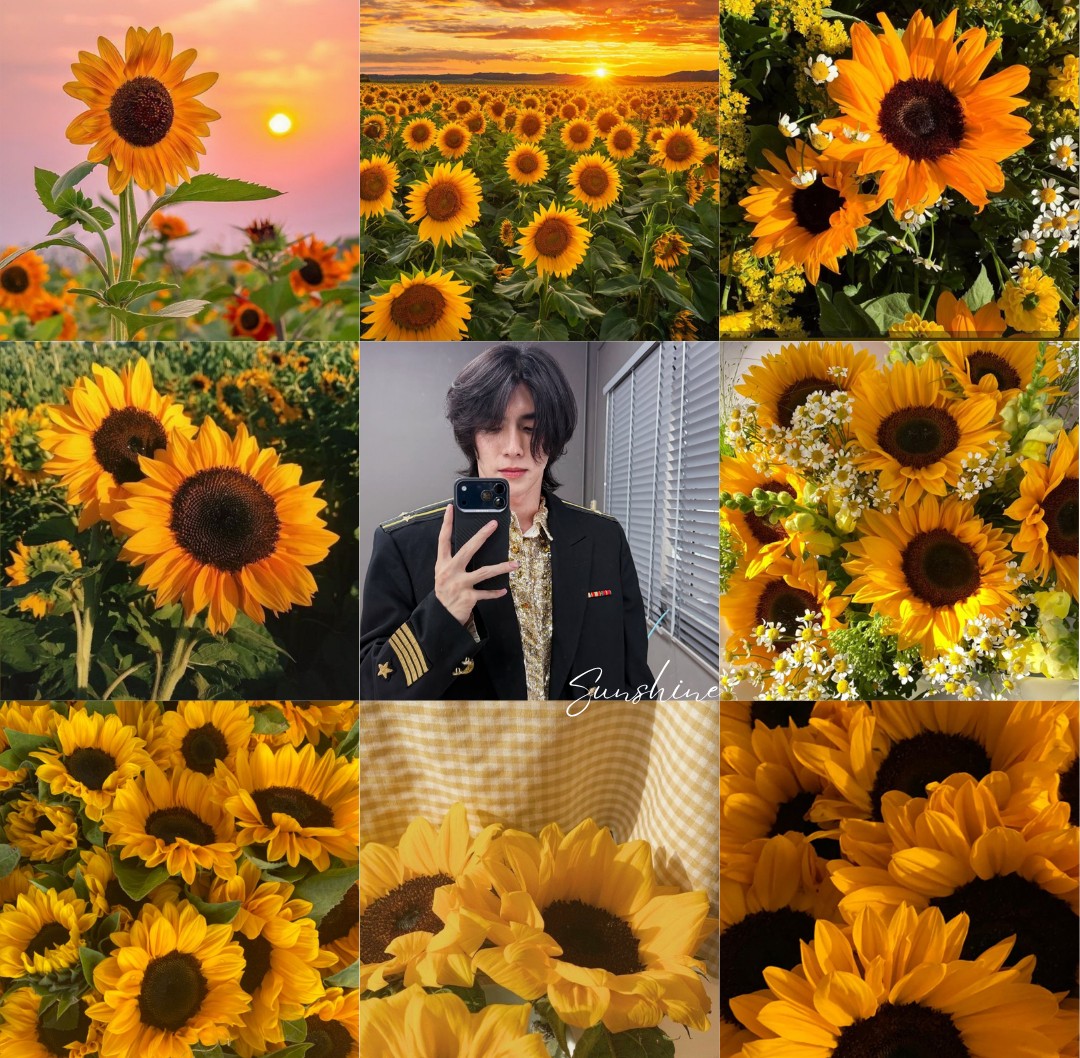 SunshineBoom tweet media