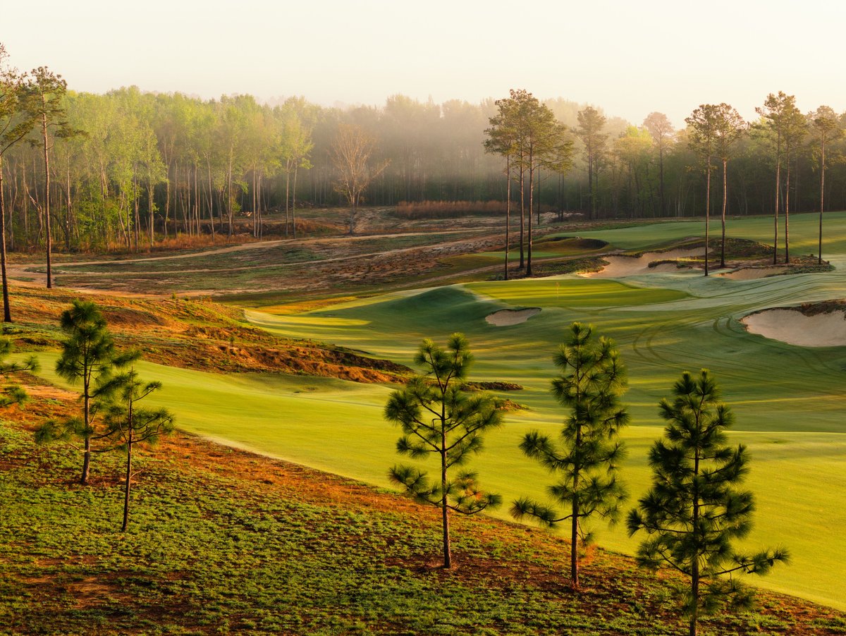 Broomsedge Golf Club tweet media