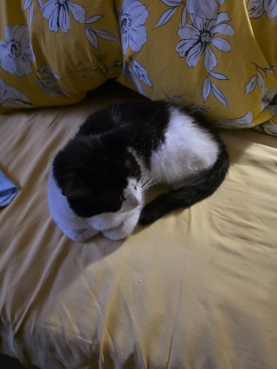 Rafał Z. tweet media