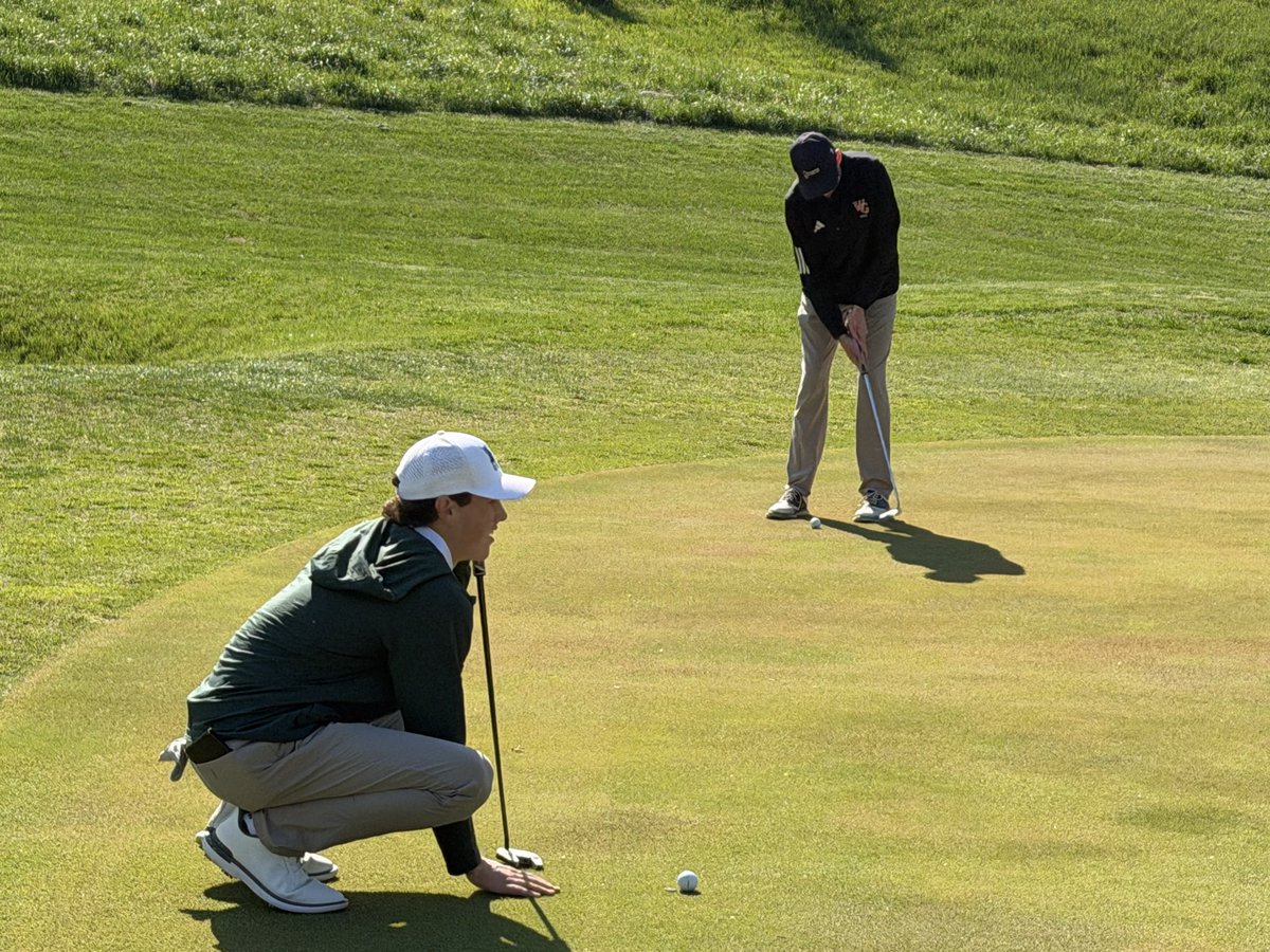 Cary Morrison tweet media