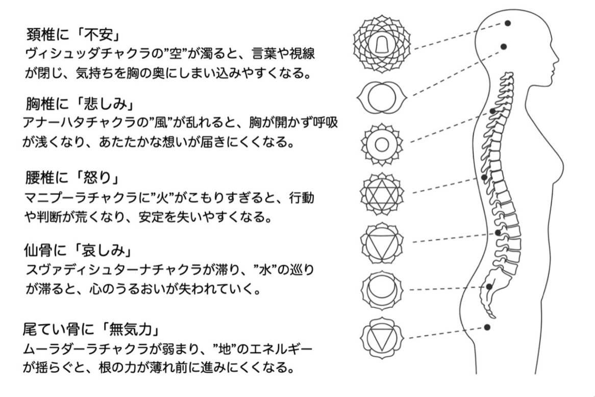 まあ｜呼吸と脊髄のヨガ習慣 tweet media