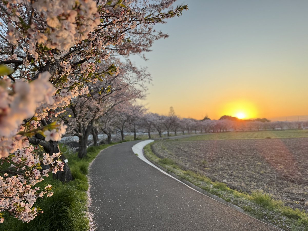 ron ron 5/23.24デザフェス tweet media