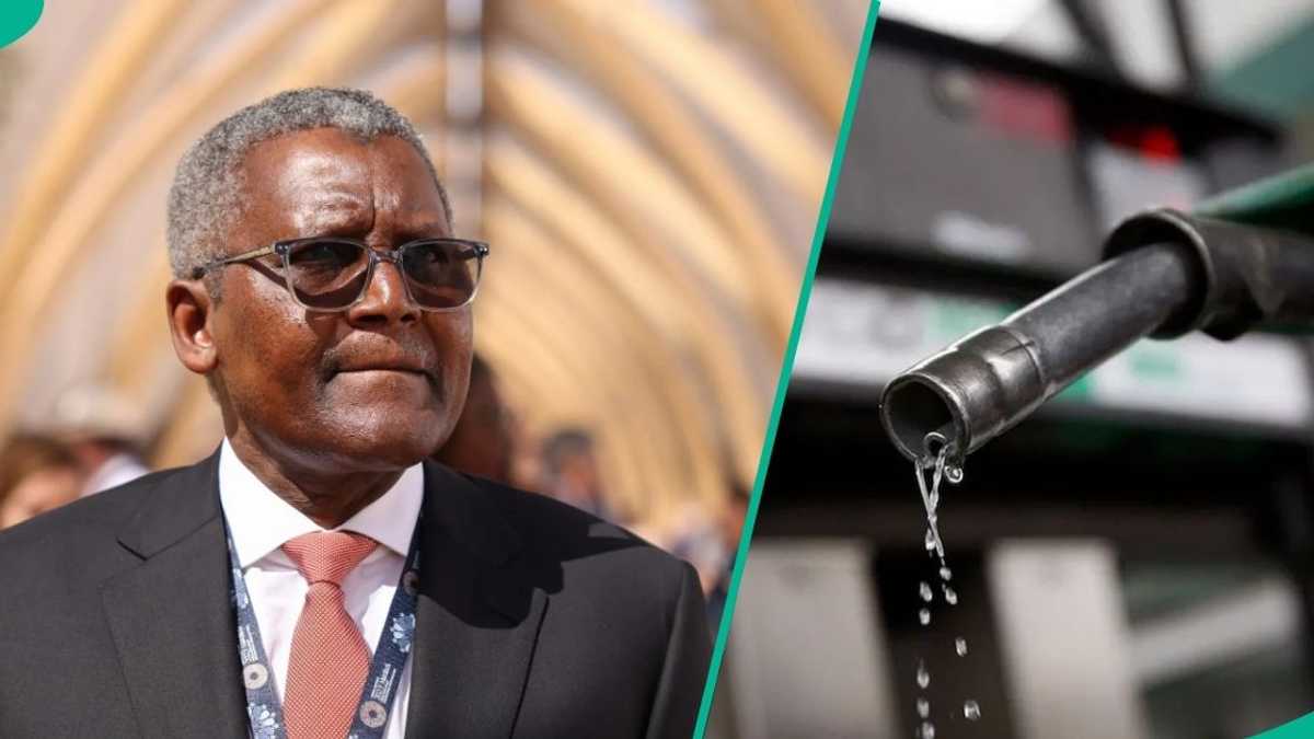 wfzprobity tweet media