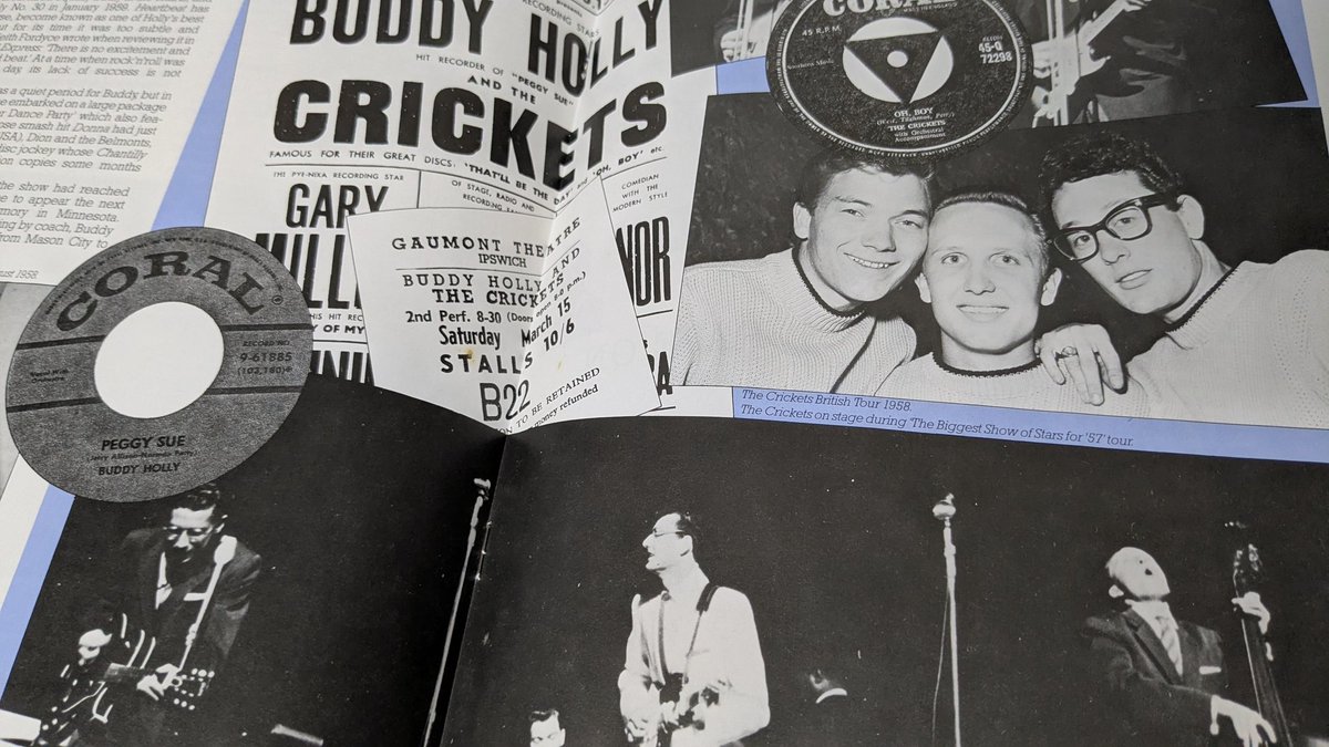 BAYSONIC tweet media