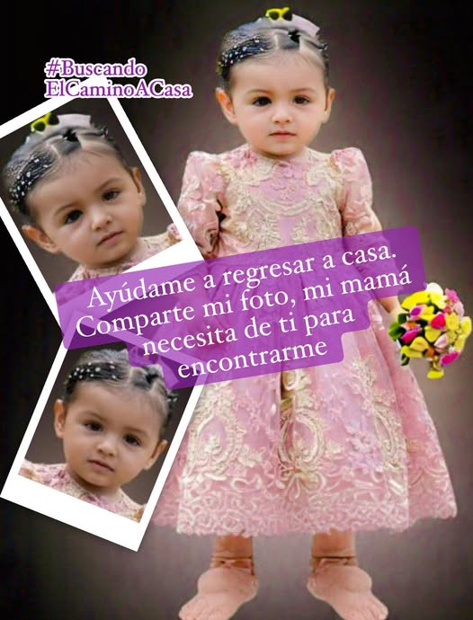 constanza luna tweet media