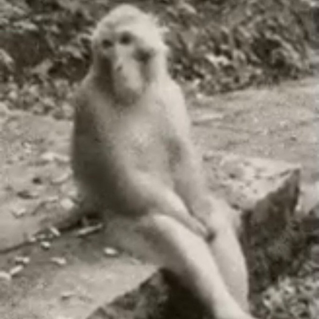 𝐋𝐔𝐌𝐀™ tweet media