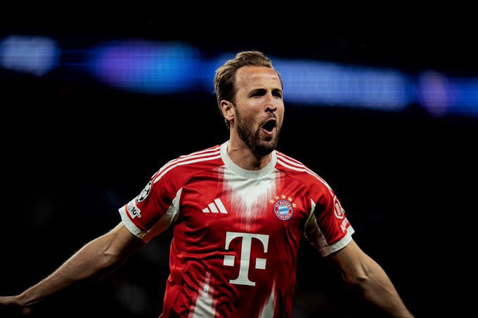 عمرو tweet media