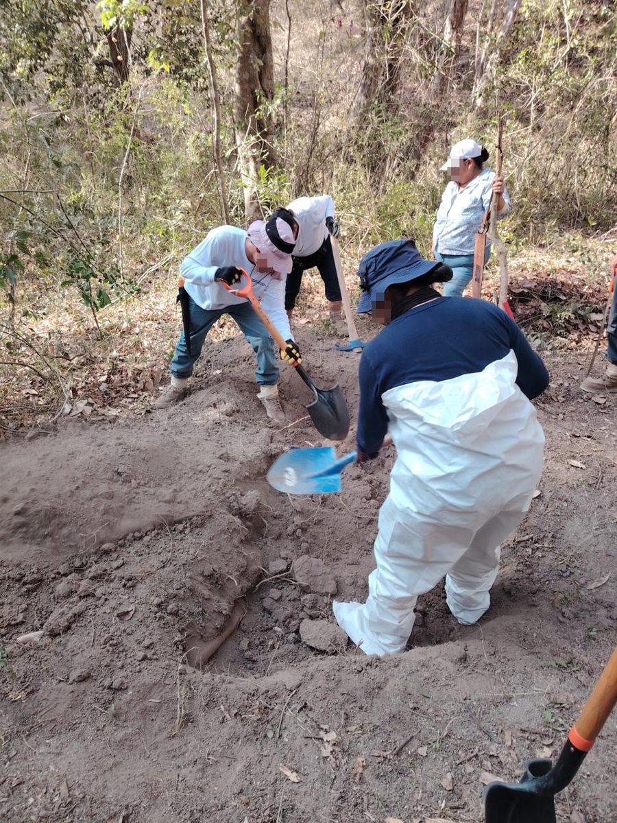 Comisión Nal. de Búsqueda Mx tweet media