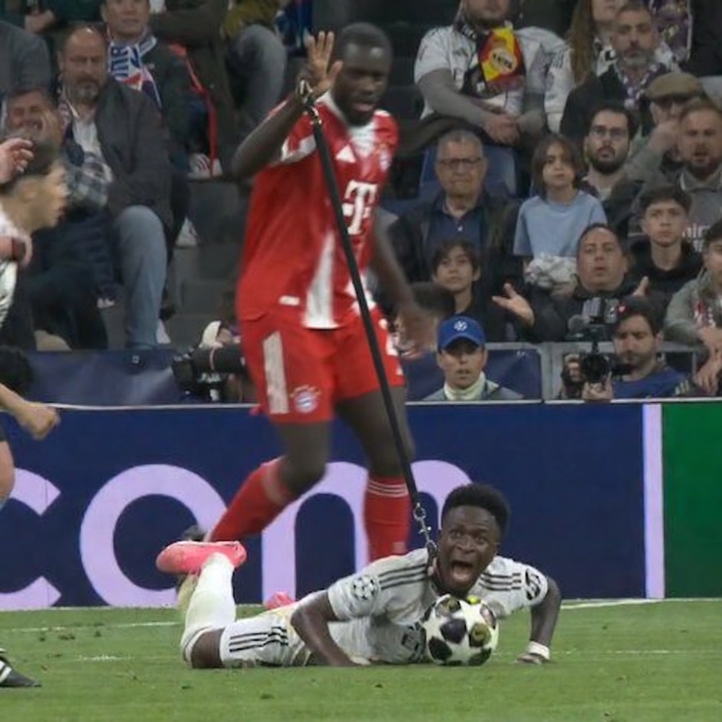 Capybara tweet media