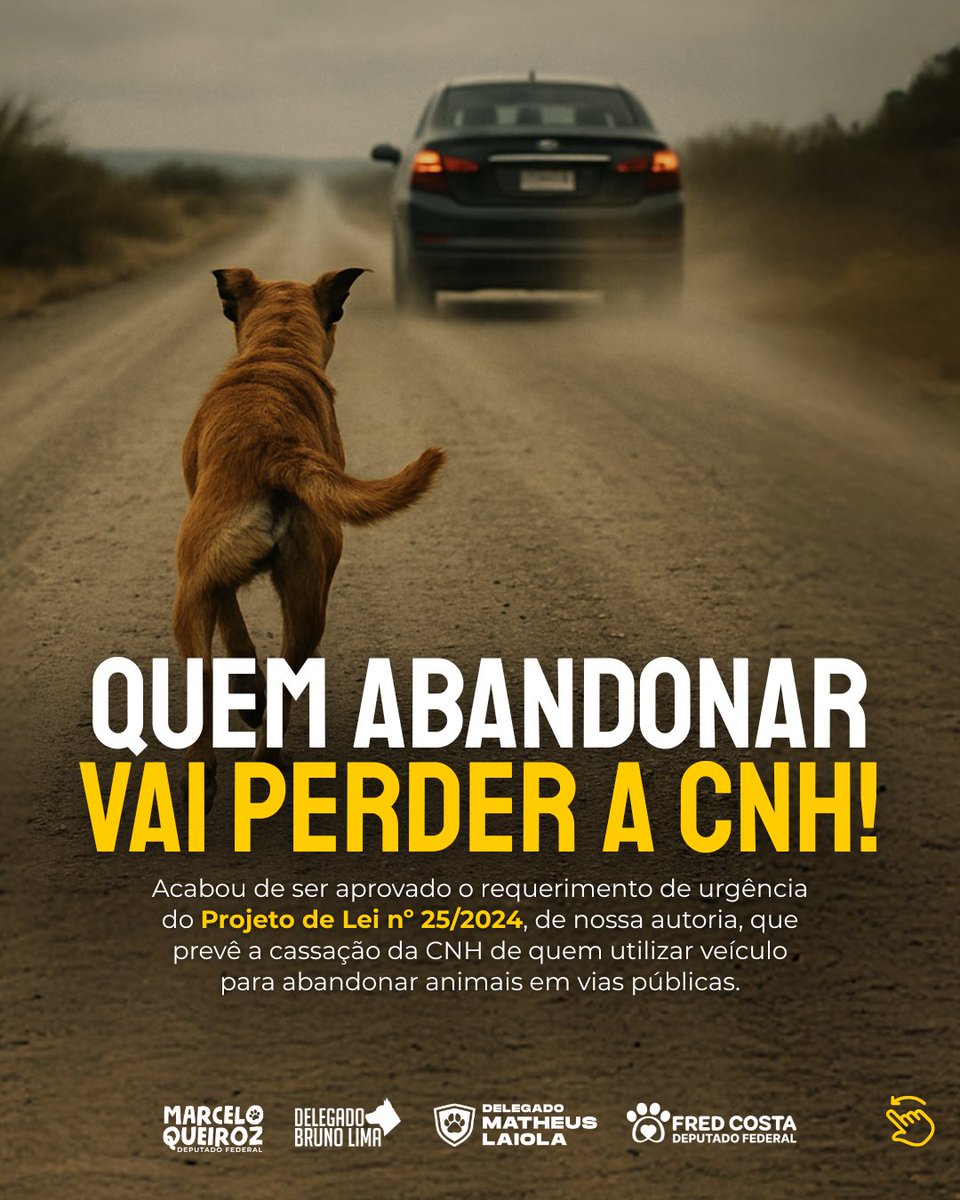 Delegado Matheus Laiola tweet media