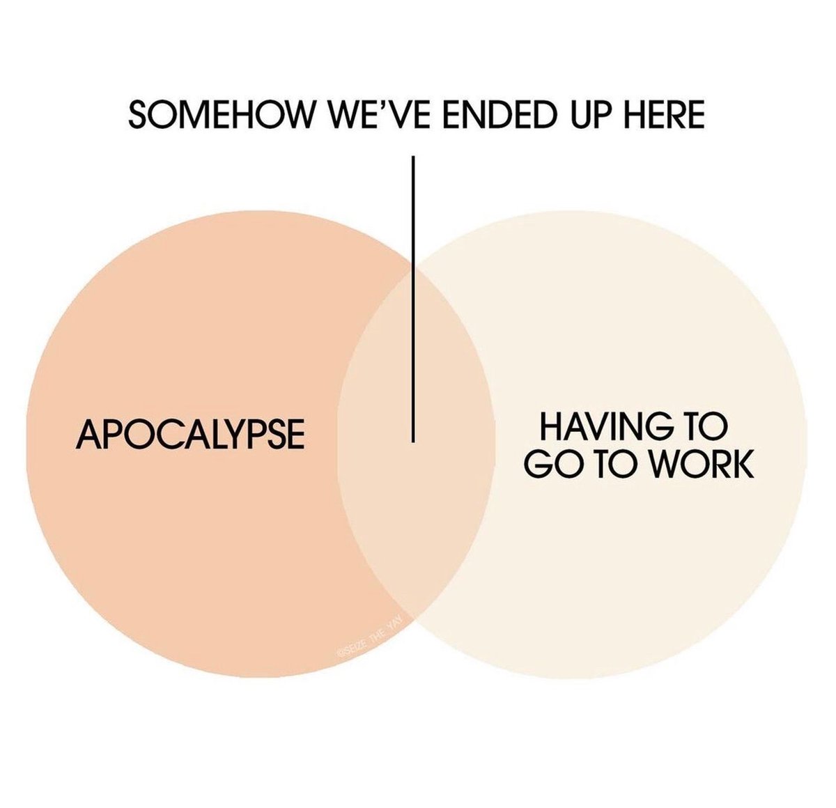 pharnzwurth's tweet image. The world’s gonna end but probably not before the… checks notes… 6 hours of meetings I’m in today.