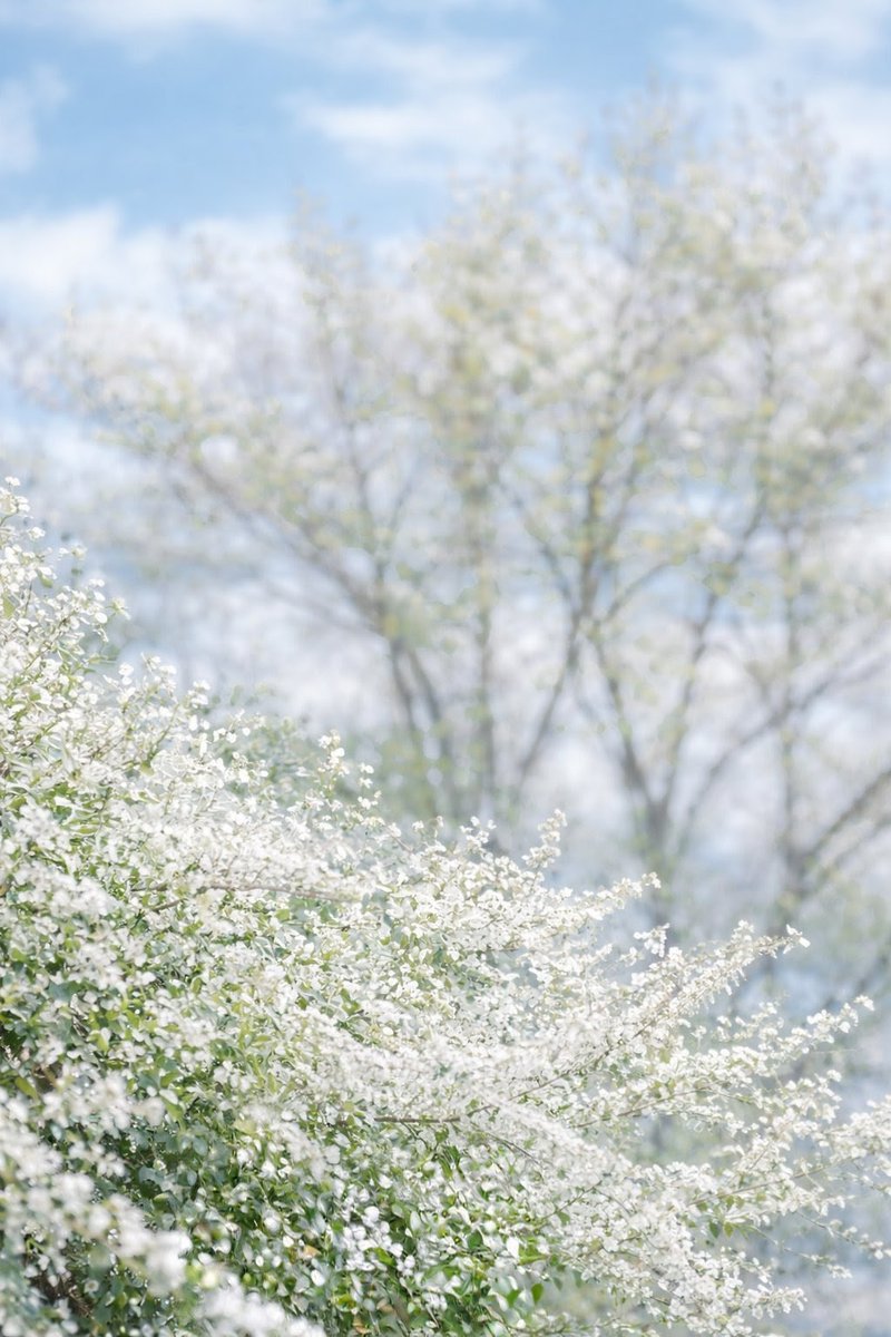 ゆういち 𓈒◌ tweet media