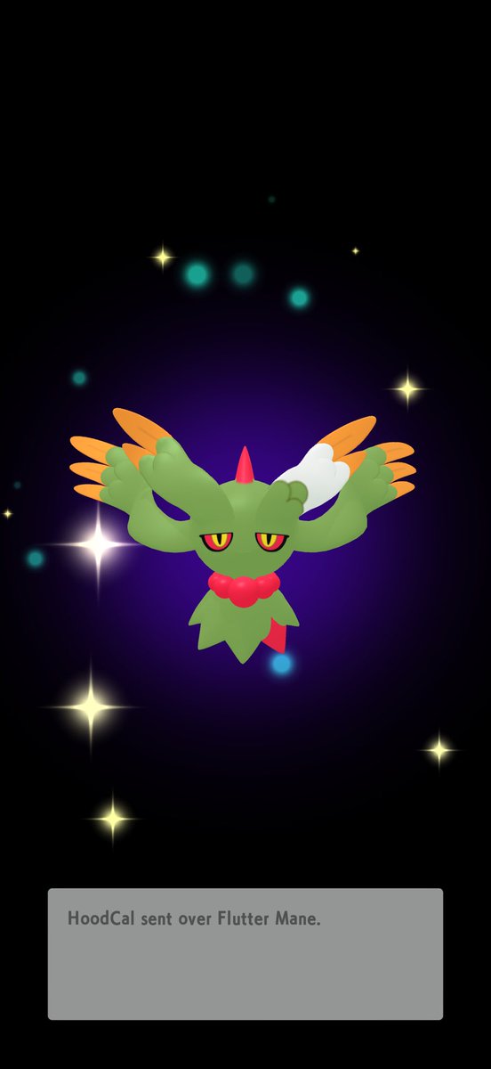 ray 🐉 tweet media