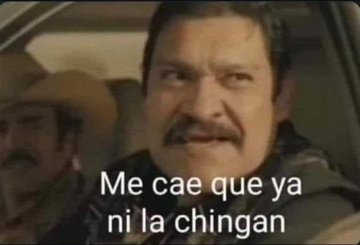 Gera GDL tweet media