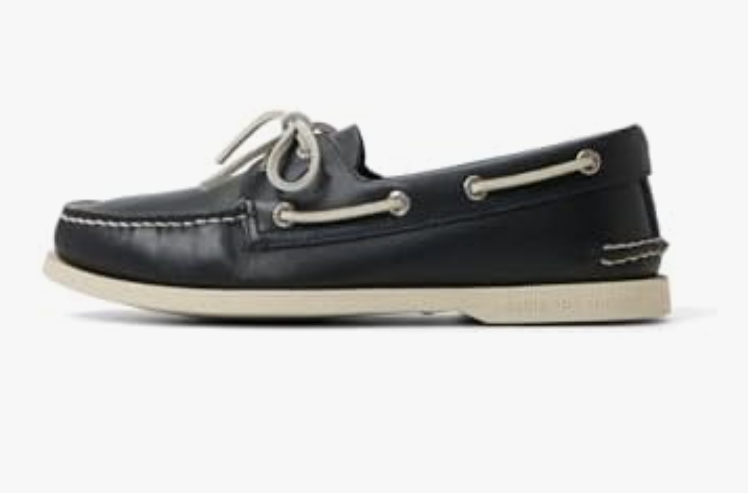 Salem The Cat tweet media