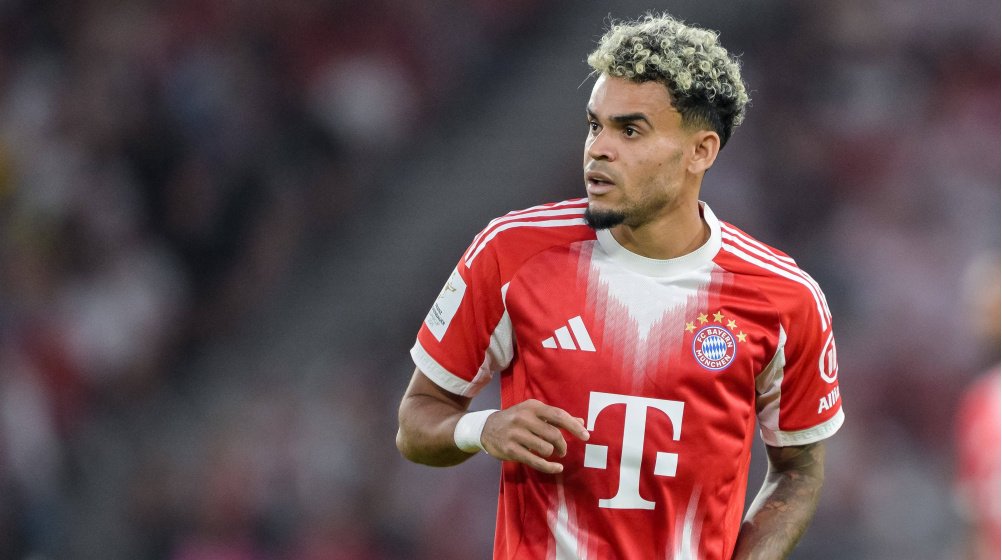 PerroCáncerEnjoyer🌹🌾⚒️ tweet media