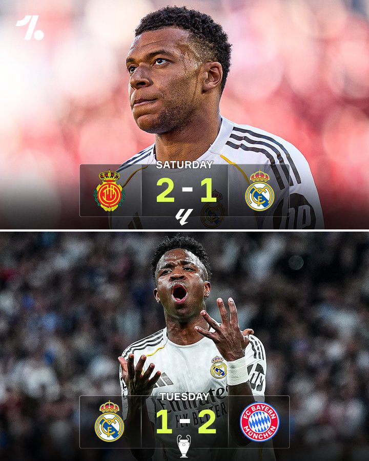 عمرو tweet media