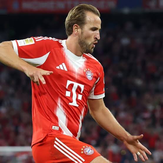 SCCP Adiantado 🦅 tweet media