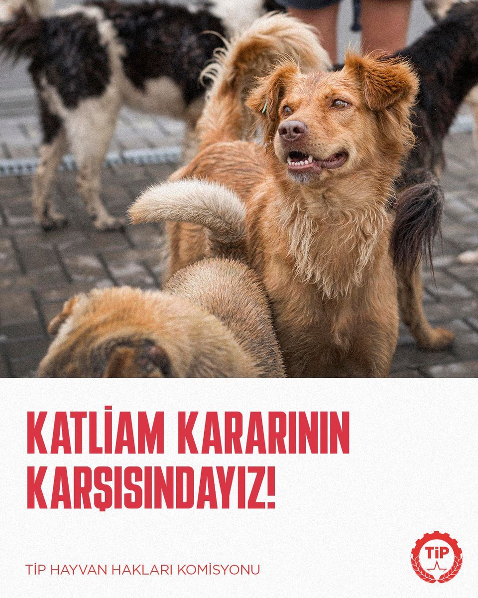 Türkiye İşçi Partisi - İstanbul tweet media