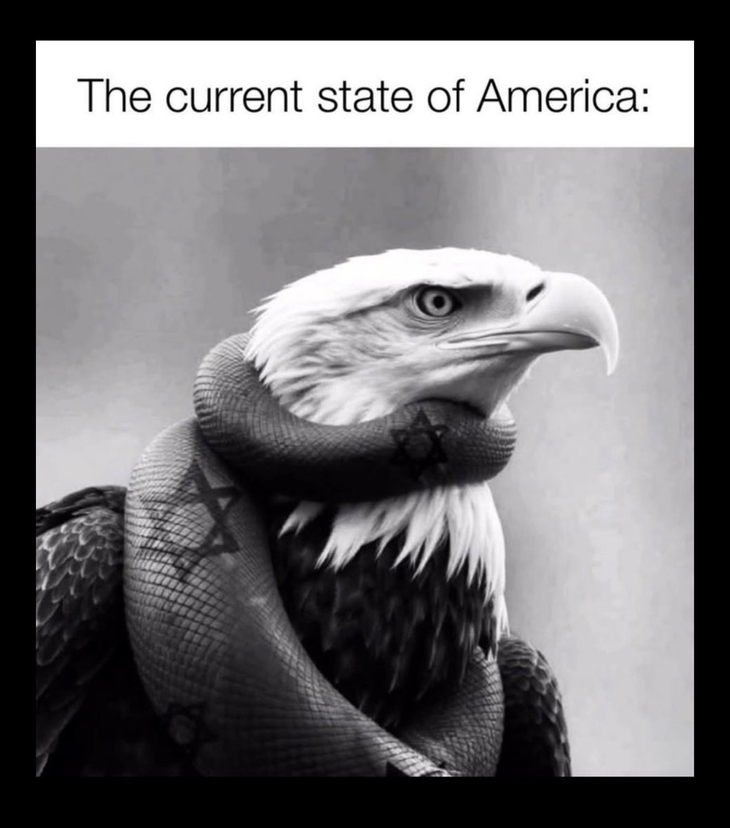 Erik Kiehle For Congress 🇺🇸 tweet media