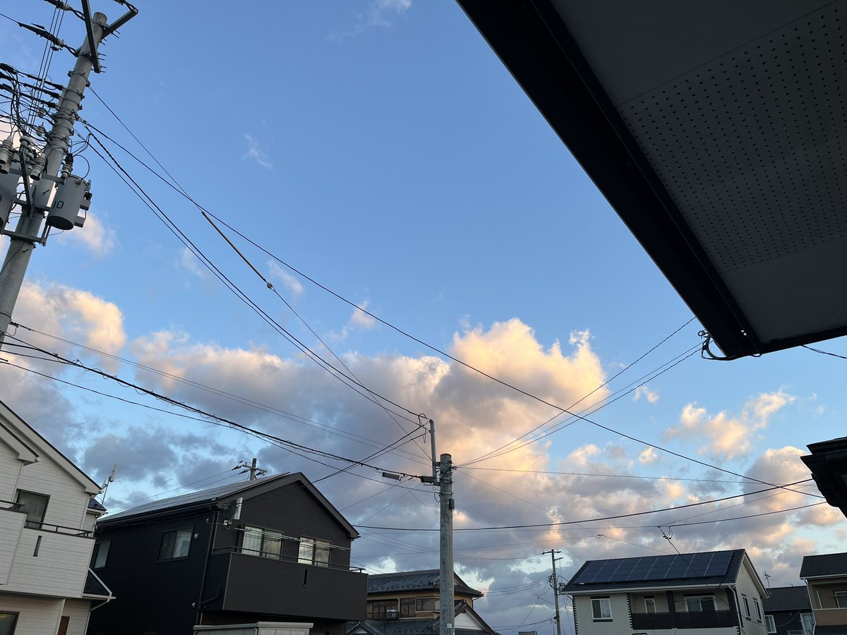 東海林 順 (Shouji Junn) tweet media