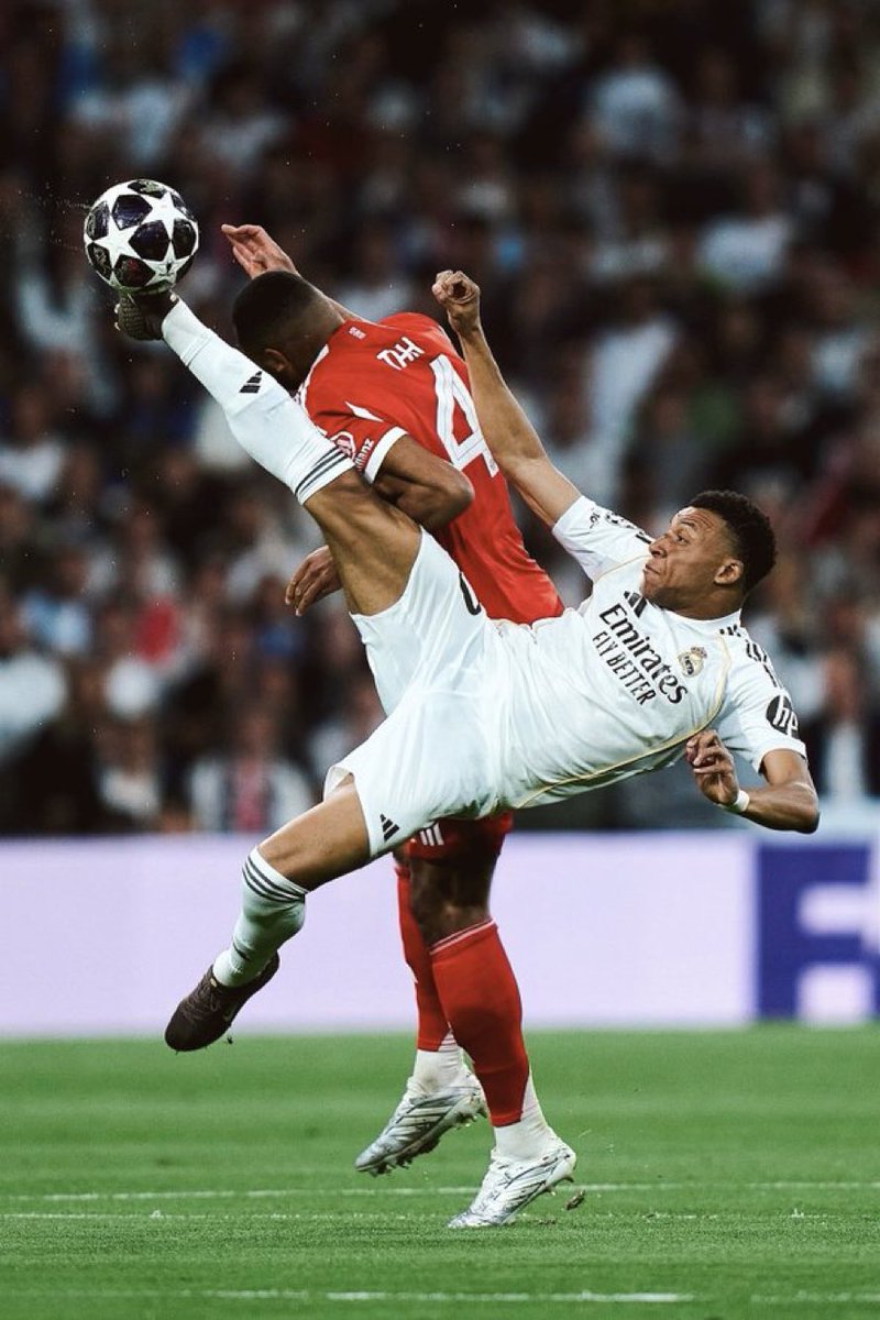 Twilight tweet media