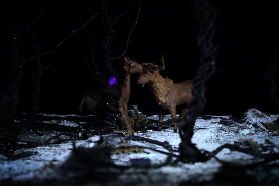 Animation Festival tweet media