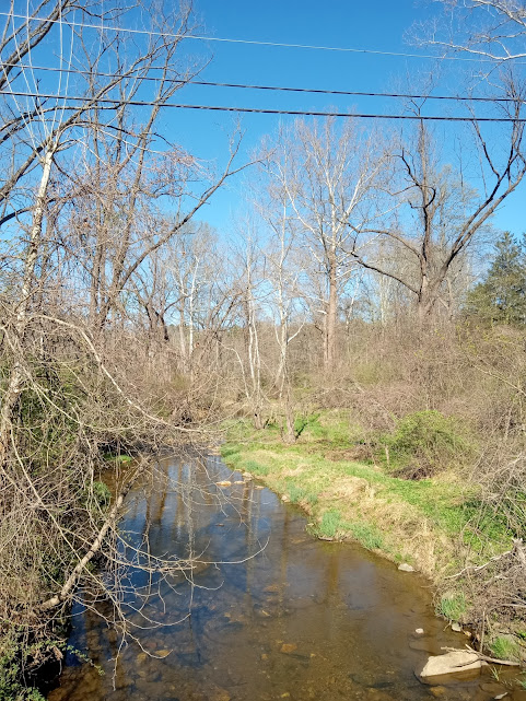 Jack Chambers tweet media