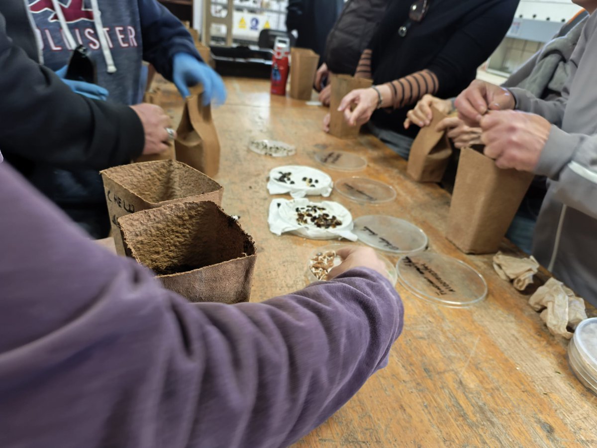 tucomarca.com tweet media