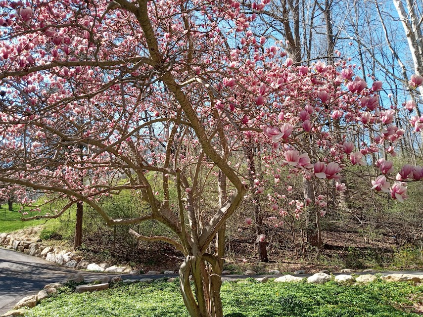 Jack Chambers tweet media