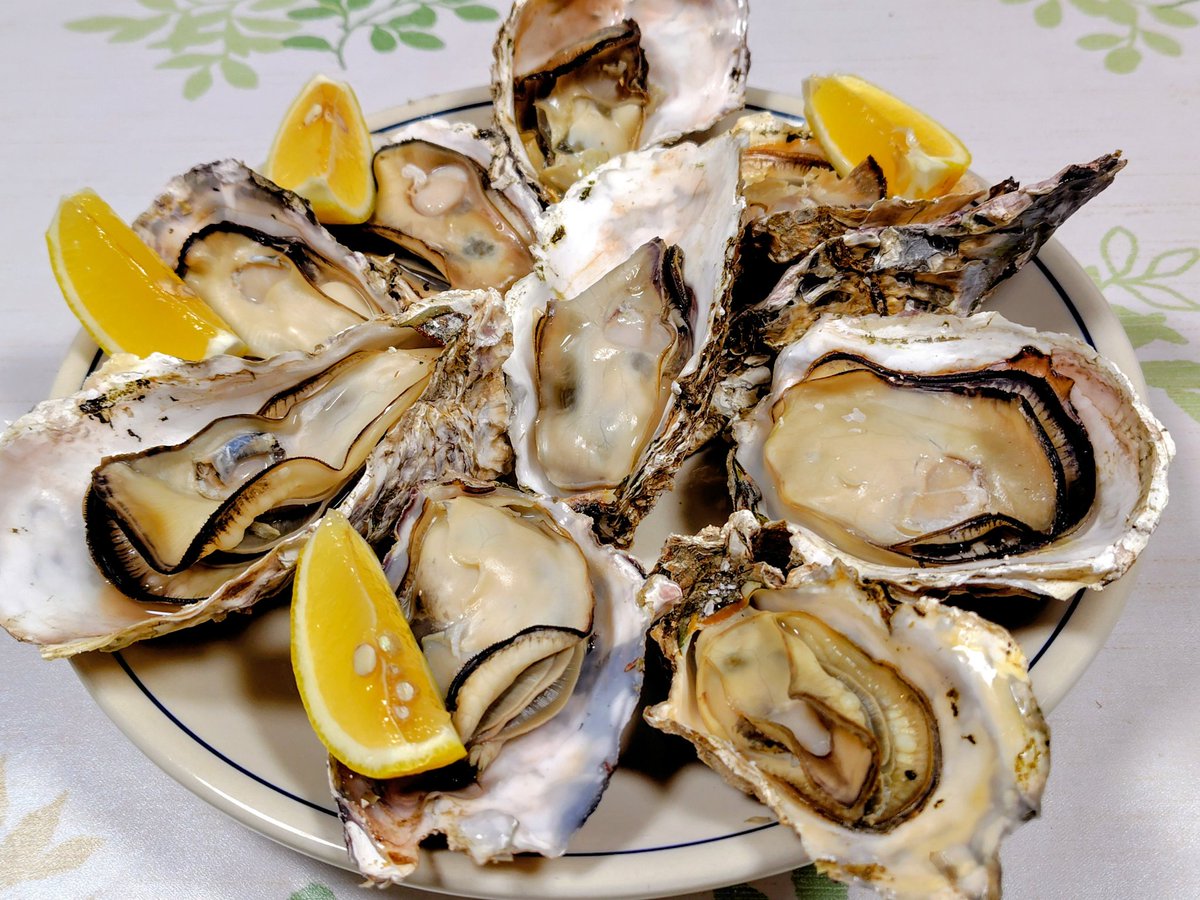 kazu@丹後のくるまえび🦐畜養はまぐり🐚牡蠣🦪販売中 tweet media
