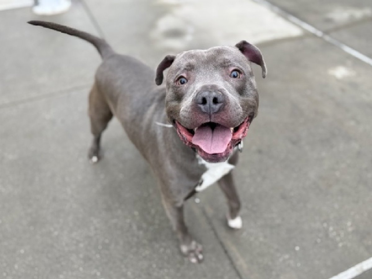 Not the Same tweet media