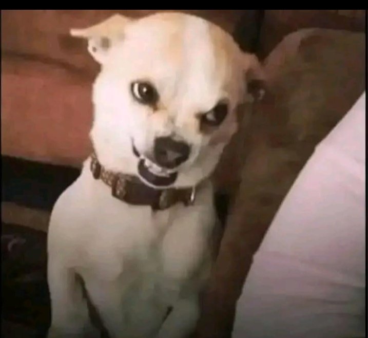 Ashabi motunrayo tweet media