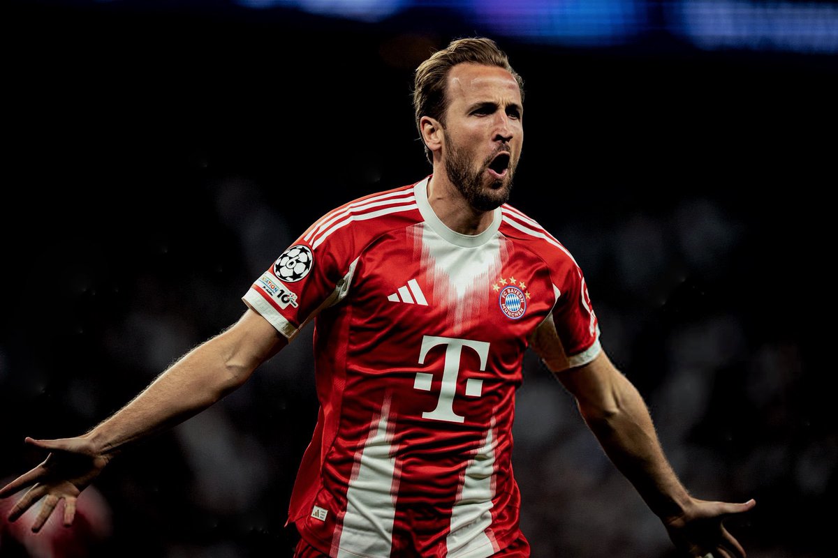 عمرو tweet media