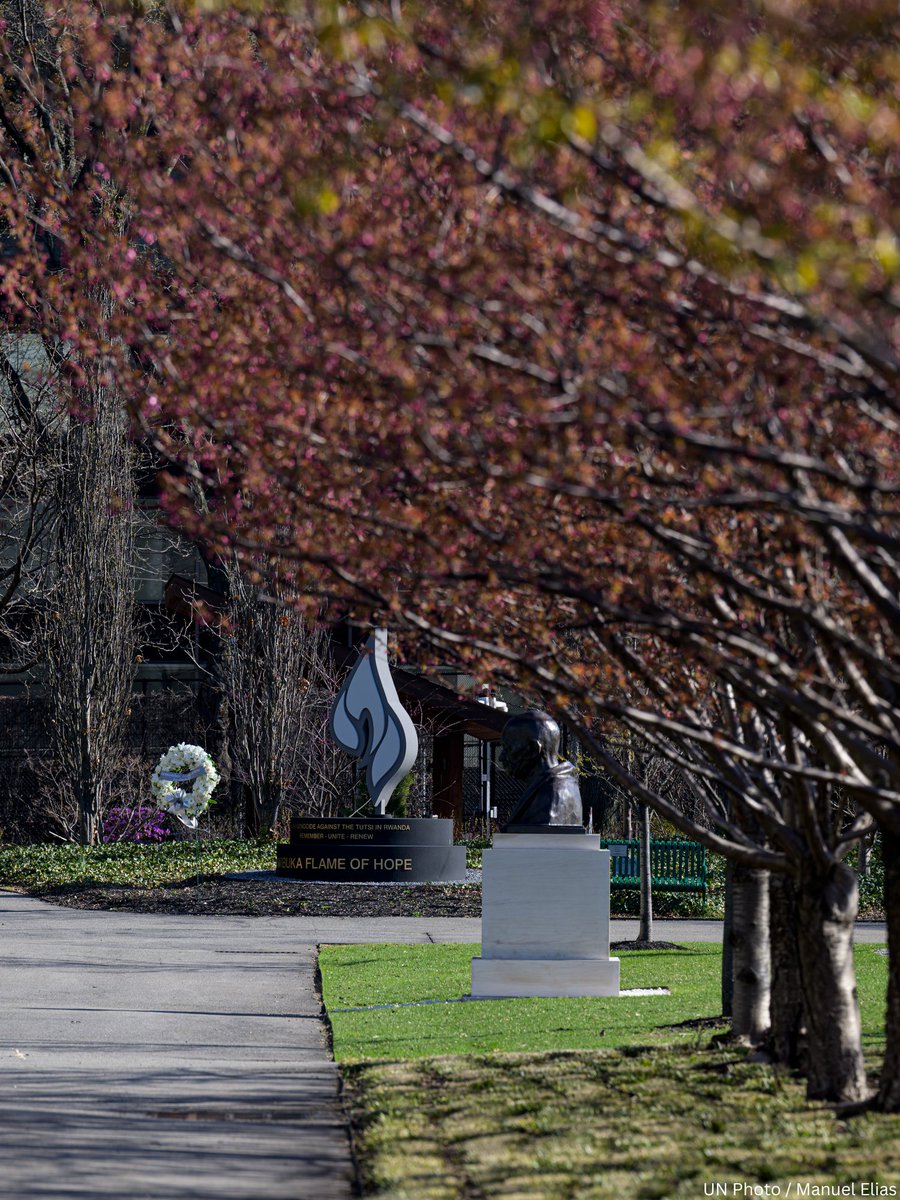 United Nations tweet media