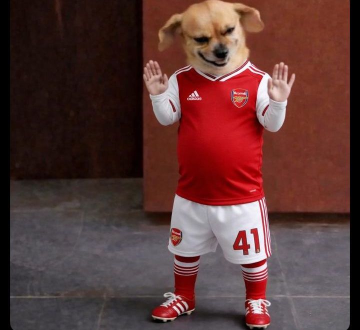 <a href="/Arsenal/">Arsenal</a> A win advantage into the second leg at Emirates ❤