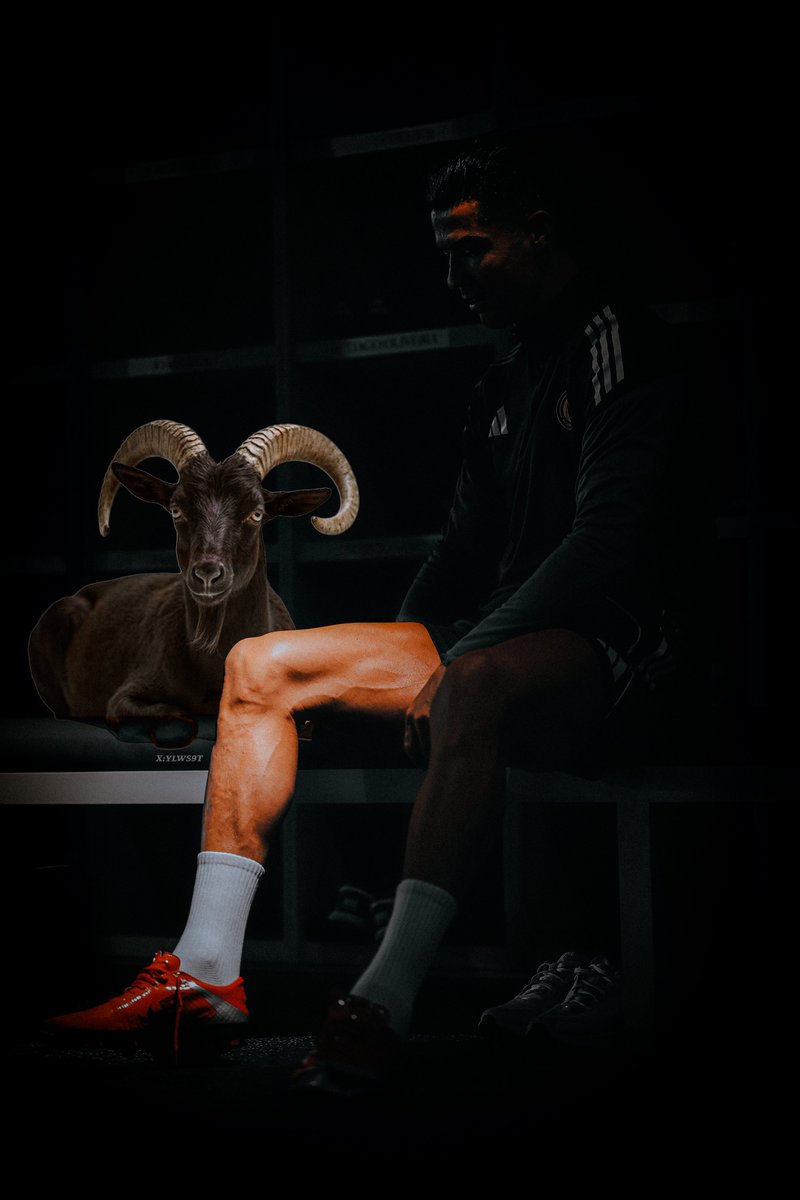 𝙎 𝙏 𝙍 𝙕 tweet media