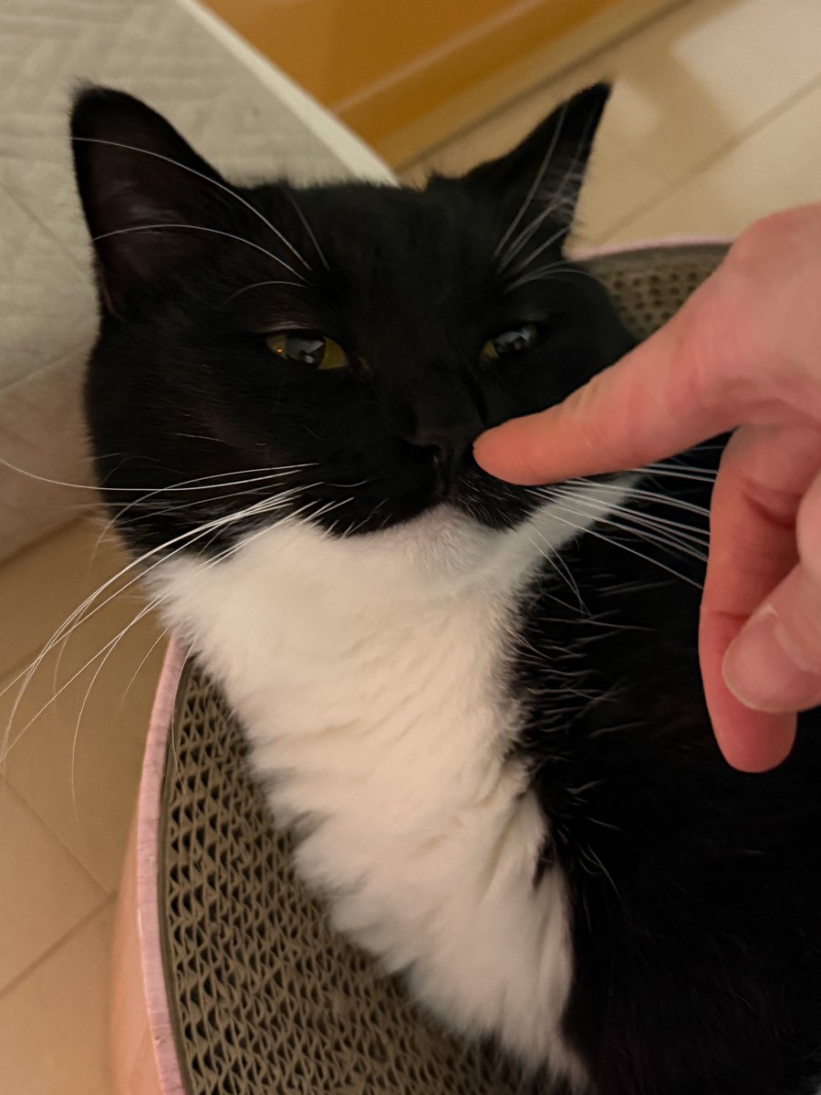 unicouniuni3's tweet image. He looks so blissful…